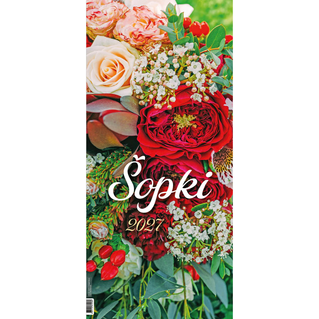 sopki_1.jpg